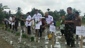 Tanam Padi Bareng Presiden Prabowo, HSU Tunjukkan Komitmen Kuat Dukung Ketahanan Pangan Nasional