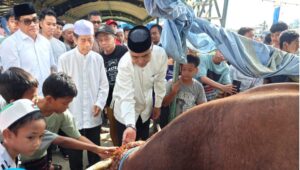 Presiden Prabowo Serahkan Sapi Kurban 912 Kg ke Warga HSU, Bupati Sahrujani: Bentuk Kepedulian Pemerintah Pusat