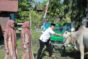 Kodim 1001/HSU-BLG Sembelih 5 Sapi, Kurban Dibagikan ke Warga dan Yatim Piatu