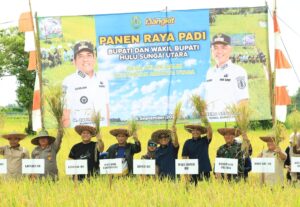 HSU Buktikan Ketahanan Pangan, Produksi Padi Tembus 118,9% dari Target