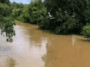 Debit Air Naik Tajam, Dua Titik Sungai di Balangan Berstatus Siaga