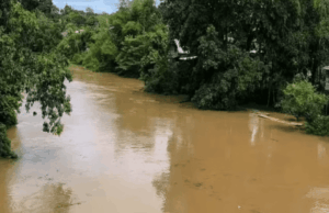 Debit Air Naik Tajam, Dua Titik Sungai di Balangan Berstatus Siaga