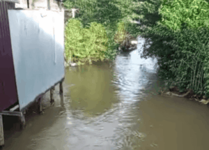 Breaking News: Balita 1,5 Tahun Diduga Tenggelam di Sungai, Warga-Relawan Lakukan Pencarian