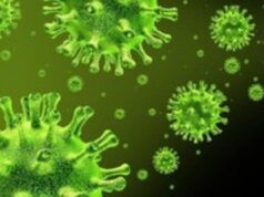 18 Warga Kalsel Terinfeksi “Super Flu” Dinkes Tegaskan Bukan Virus Baru, Masyarakat Diminta Tetap Waspada Tanpa Panik