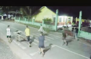 Brutal Jelang Sahur! Musik DJ dan Petasan Menggema, Remaja Diduga Rusak Fasilitas SD di Amuntai Selatan