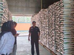 Cadangan Pangan Balangan Aman, Tersedia 118 Ton Stok Antisipasi Bencana Setahun