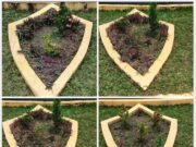 Lomba Bagarakan Sahur HSU: Sejumlah Tanaman Adam Hawa di Tugu Selawat Amuntai Rusak Terinjak Penonton