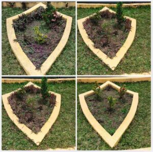 Lomba Bagarakan Sahur HSU: Sejumlah Tanaman Adam Hawa di Tugu Selawat Amuntai Rusak Terinjak Penonton